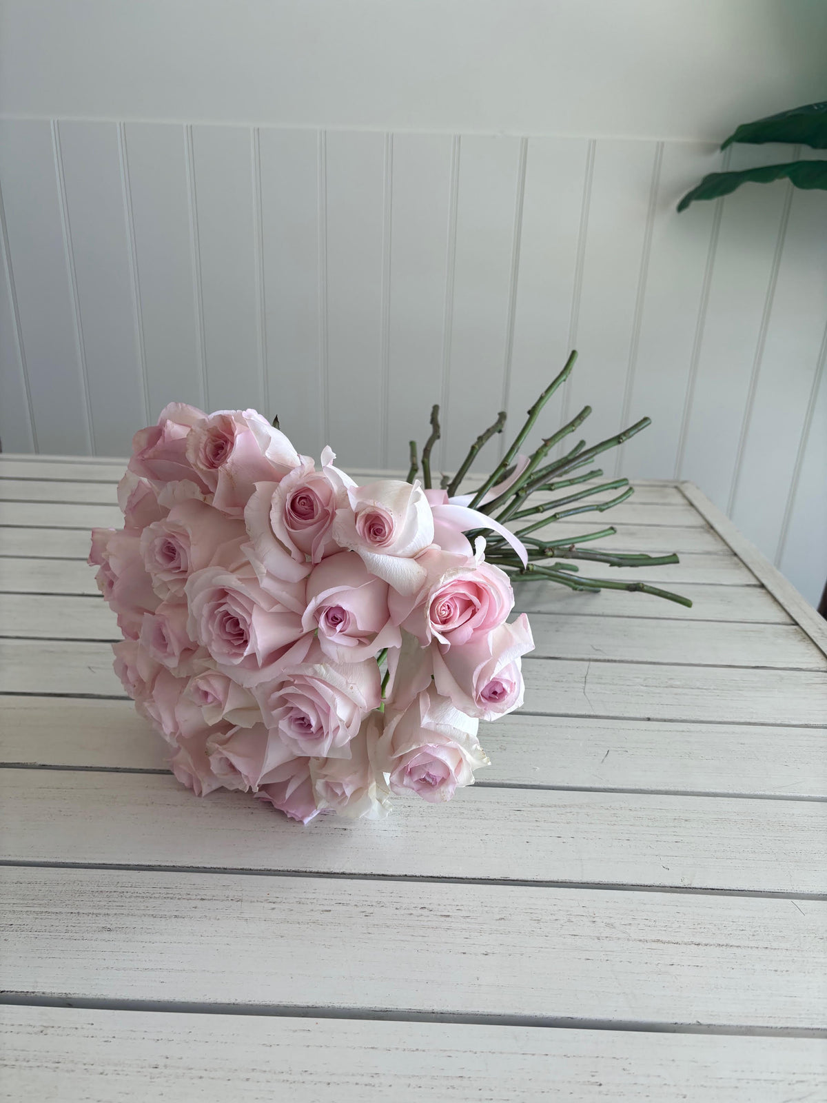 Signature Roses